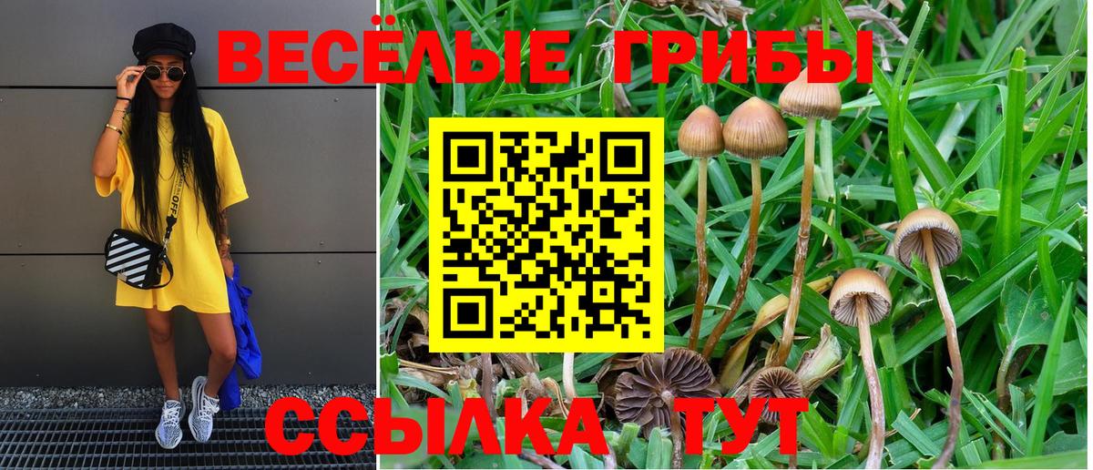 Галлюциногенные грибы ЛСД  Вход с VPN  Орск 